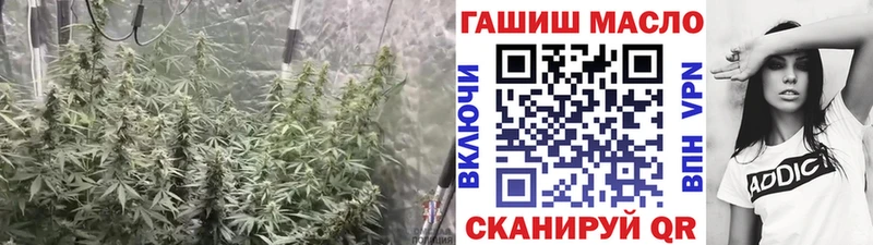 купить   Мезень  ТГК вейп с тгк 